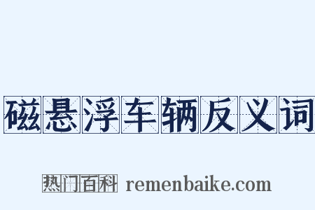 磁悬浮车辆反义词是什么意思的图片